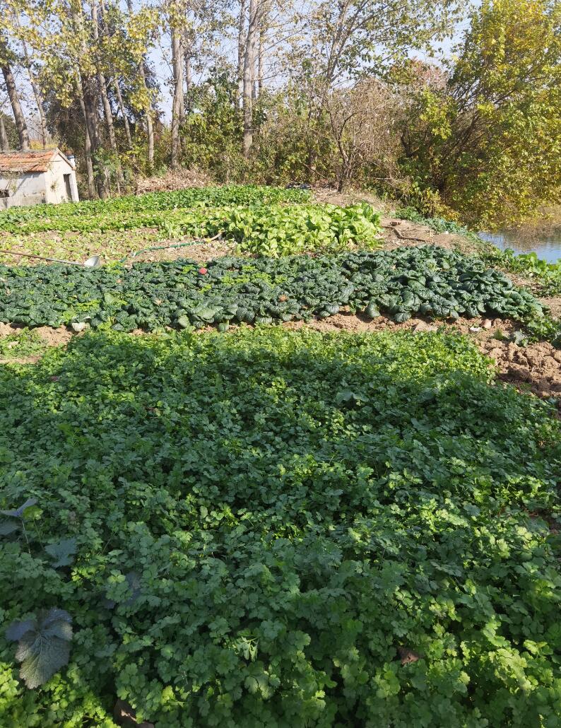 17043597329023.jpg QQ截圖20240104165536.jpg