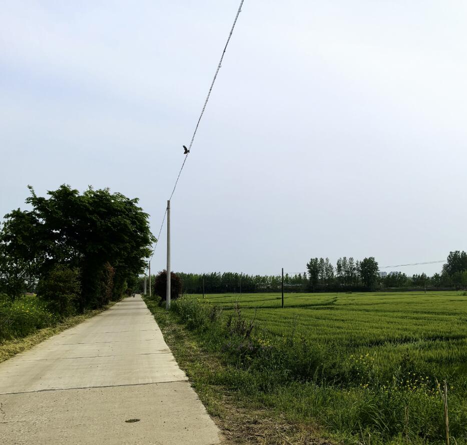 17139574299411.jpg 7777.jpg